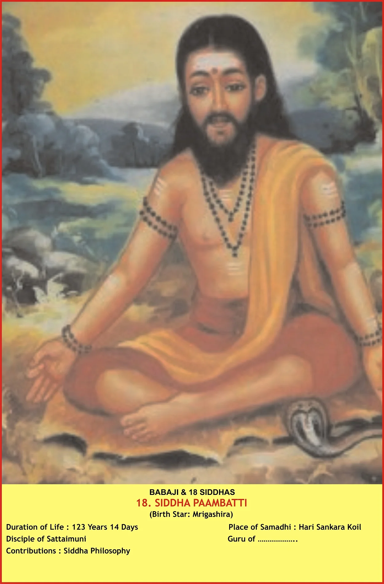 Personalized Forecasts Icon